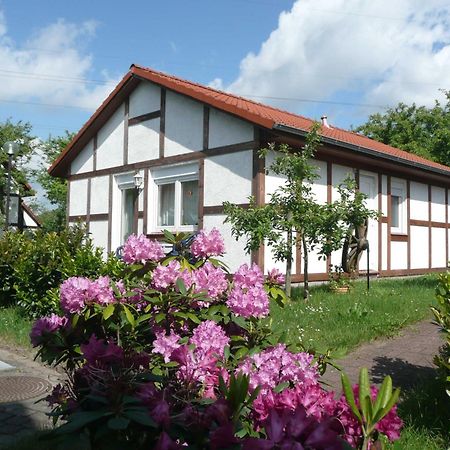 Ferienhaus Kogge Im Feriendorf Alt Bachenbrock Exterior photo